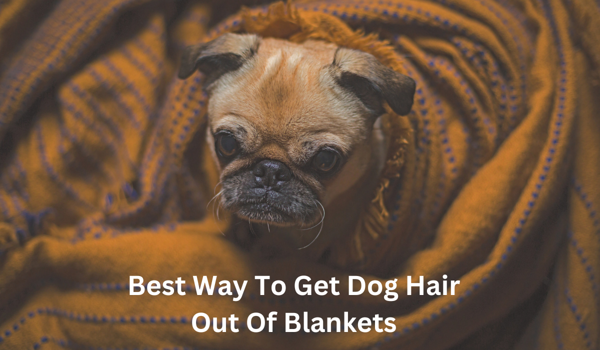 best way to get dog hair out of blankets​